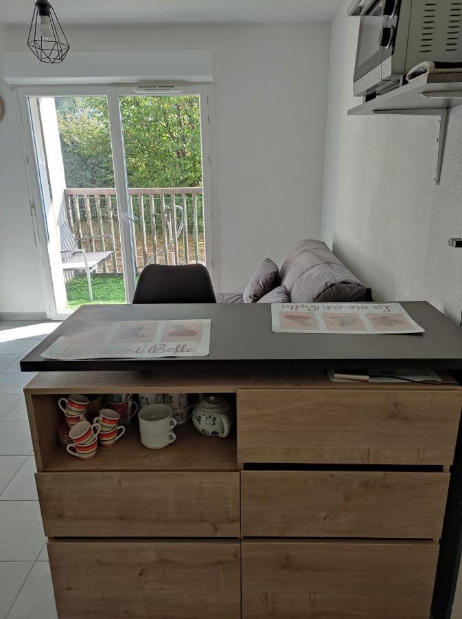 Superbe Appartement En Rez-De-Jardin A Lanton Zewnętrze zdjęcie